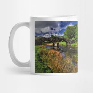 Two Bridges and West Dart River Mug